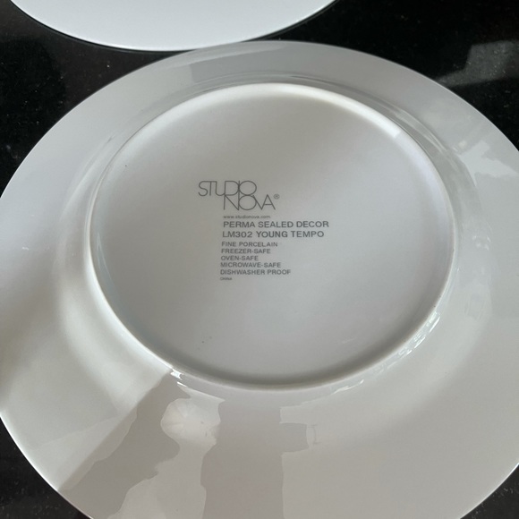 Studio Nova Mikasa Young Tempo LM302 Dinner Plate - Picture 3 of 5